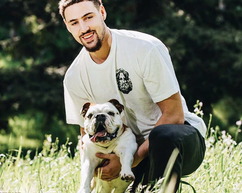 术与叙事的 术与叙事的